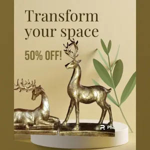 Buy Online Deer Set