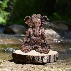 Buy Online Ganesh Samadhi