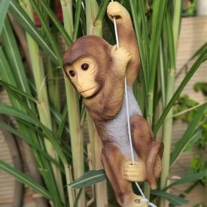 MONKEY With ROPE